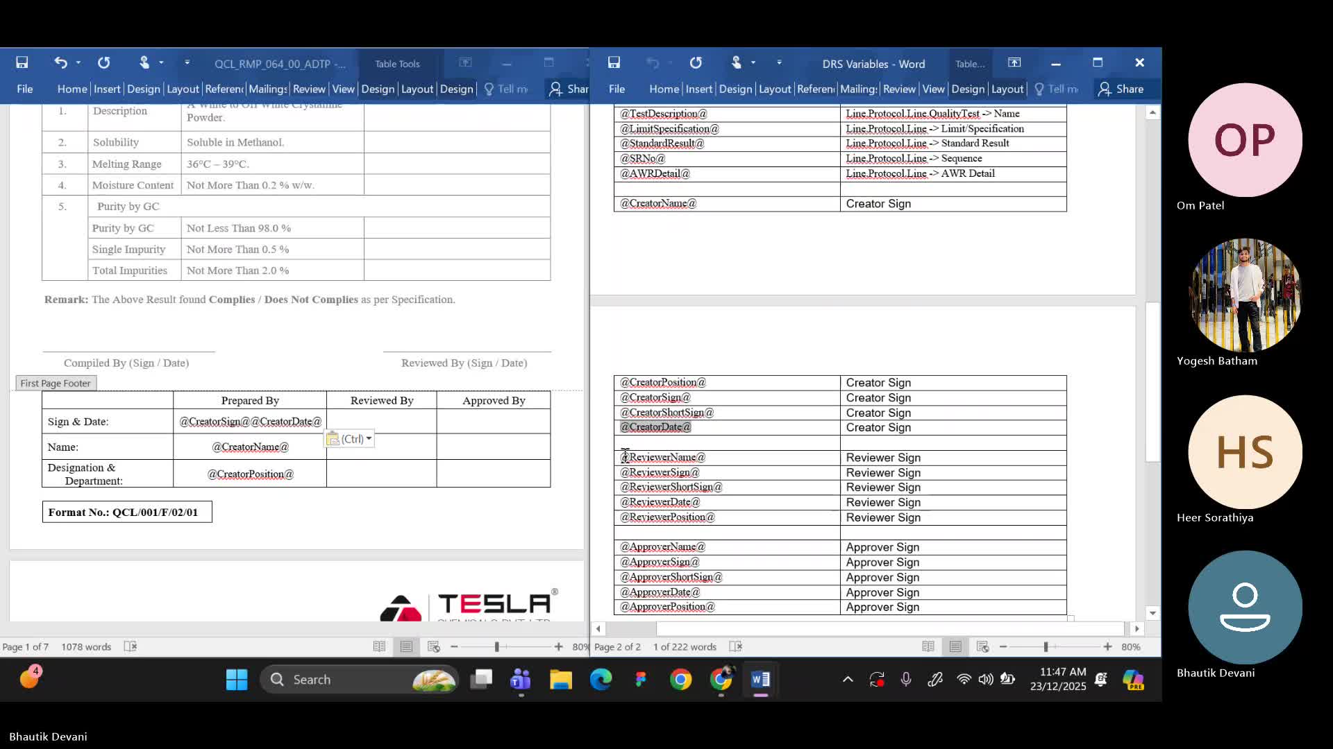 Tesla Session 10 - DRS Template Creation